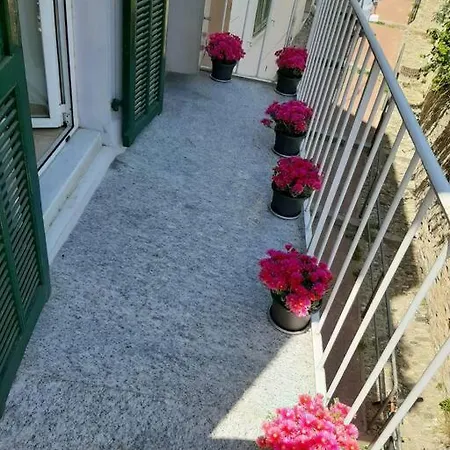 Patty Holidays Centro * Σαν Ρέμο